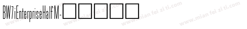 BW7iEnterpriseHalf M字体转换